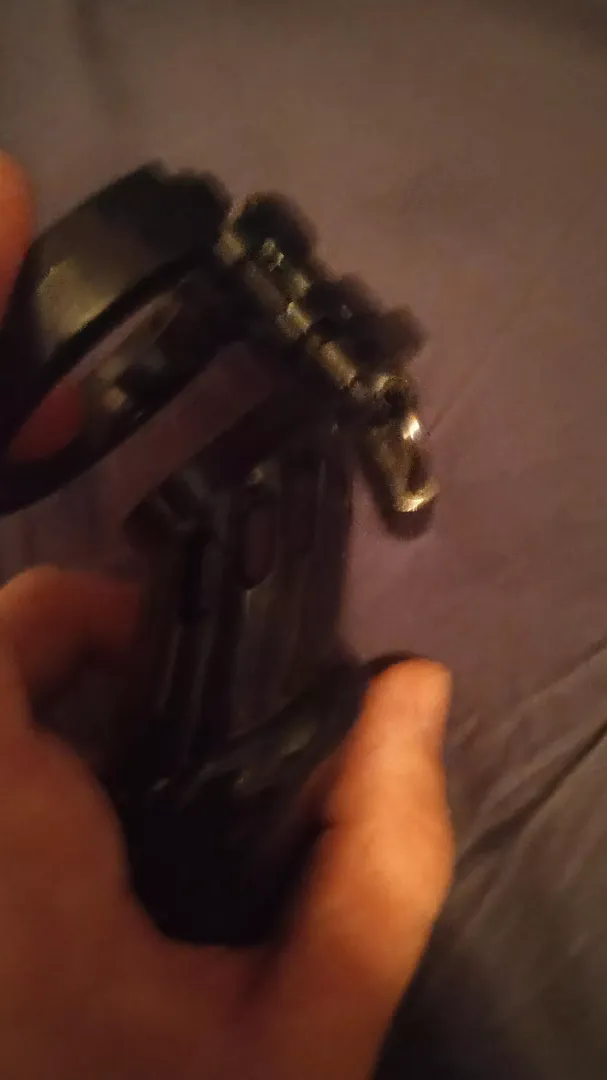I just got a cage and need some advice by AlexBeeGay