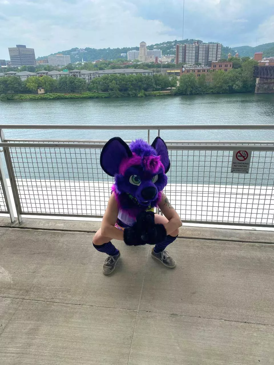 I love my Lemonbrat fursuit. posted by xegrid