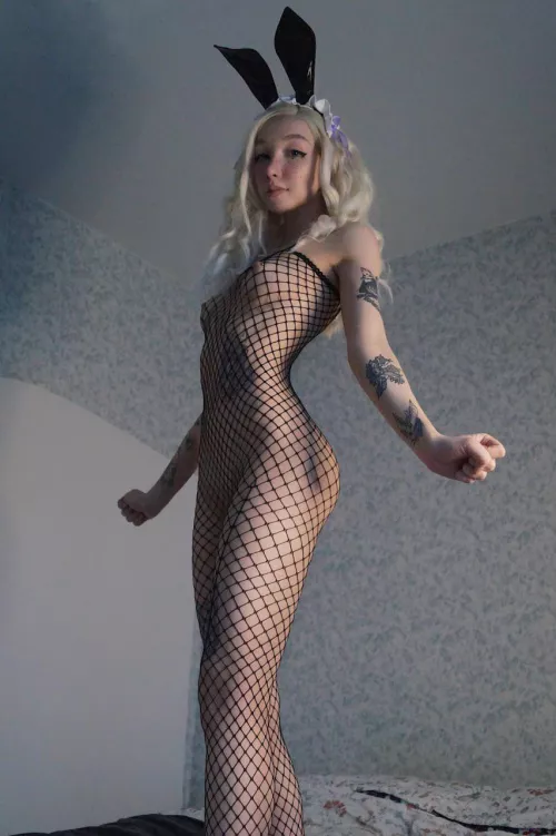 Immerse yourself in my amazing content by alongBank71