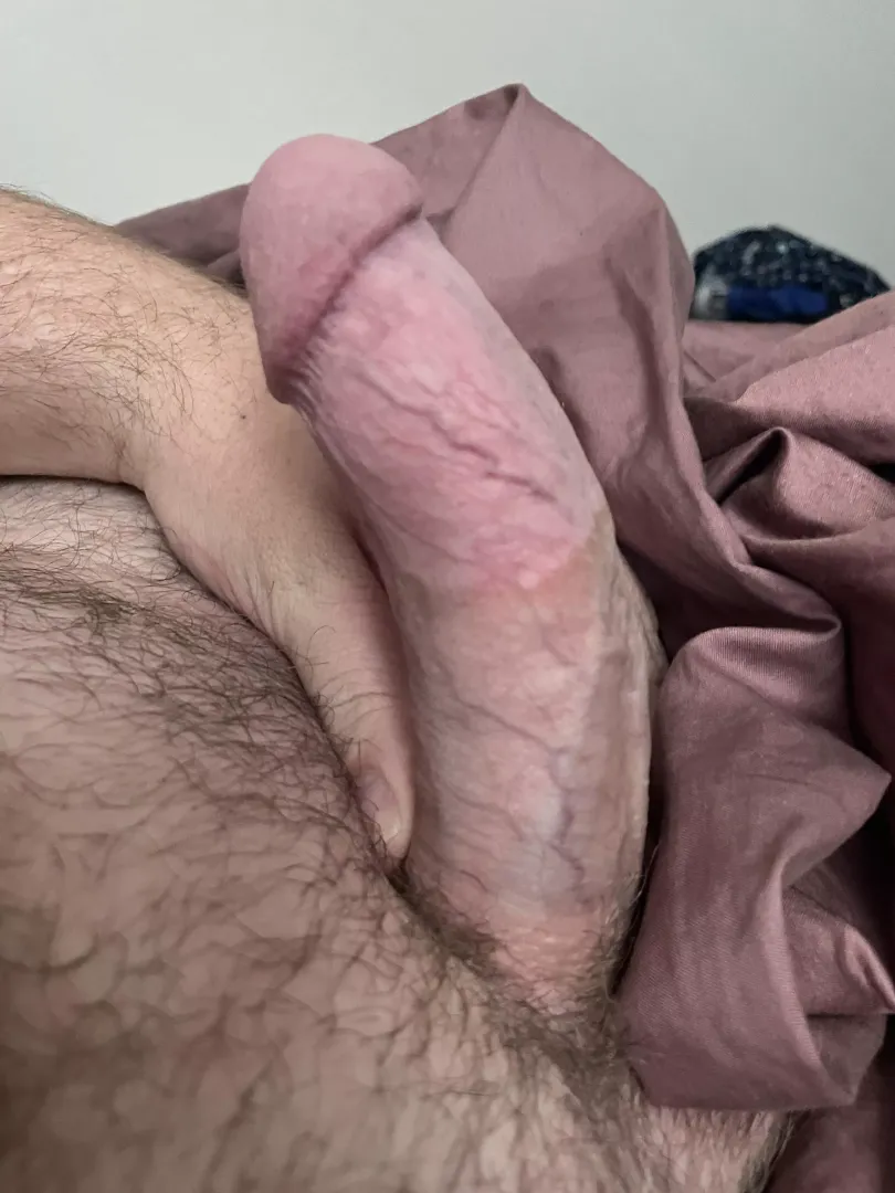 Its not as thick as you think it is…its thicker😈. Dm me! (Dick pics encouraged) by biandchubby