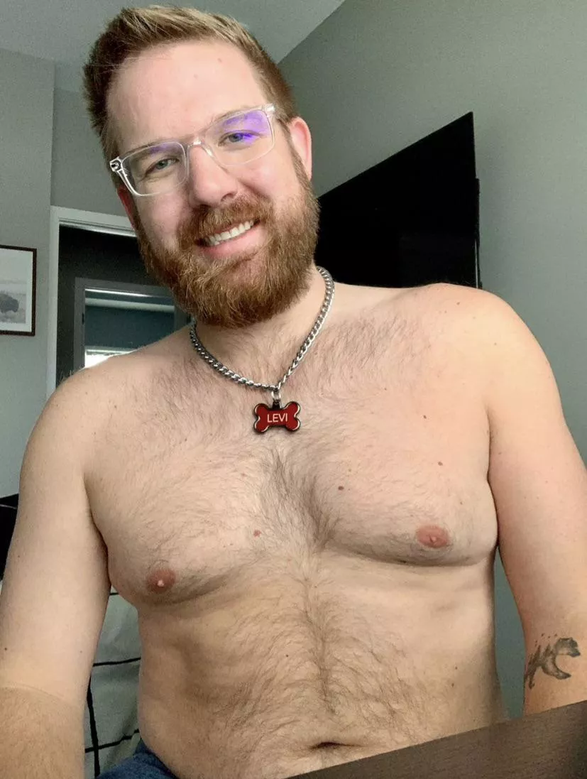 Love my furry chest posted by BoyPupLevi