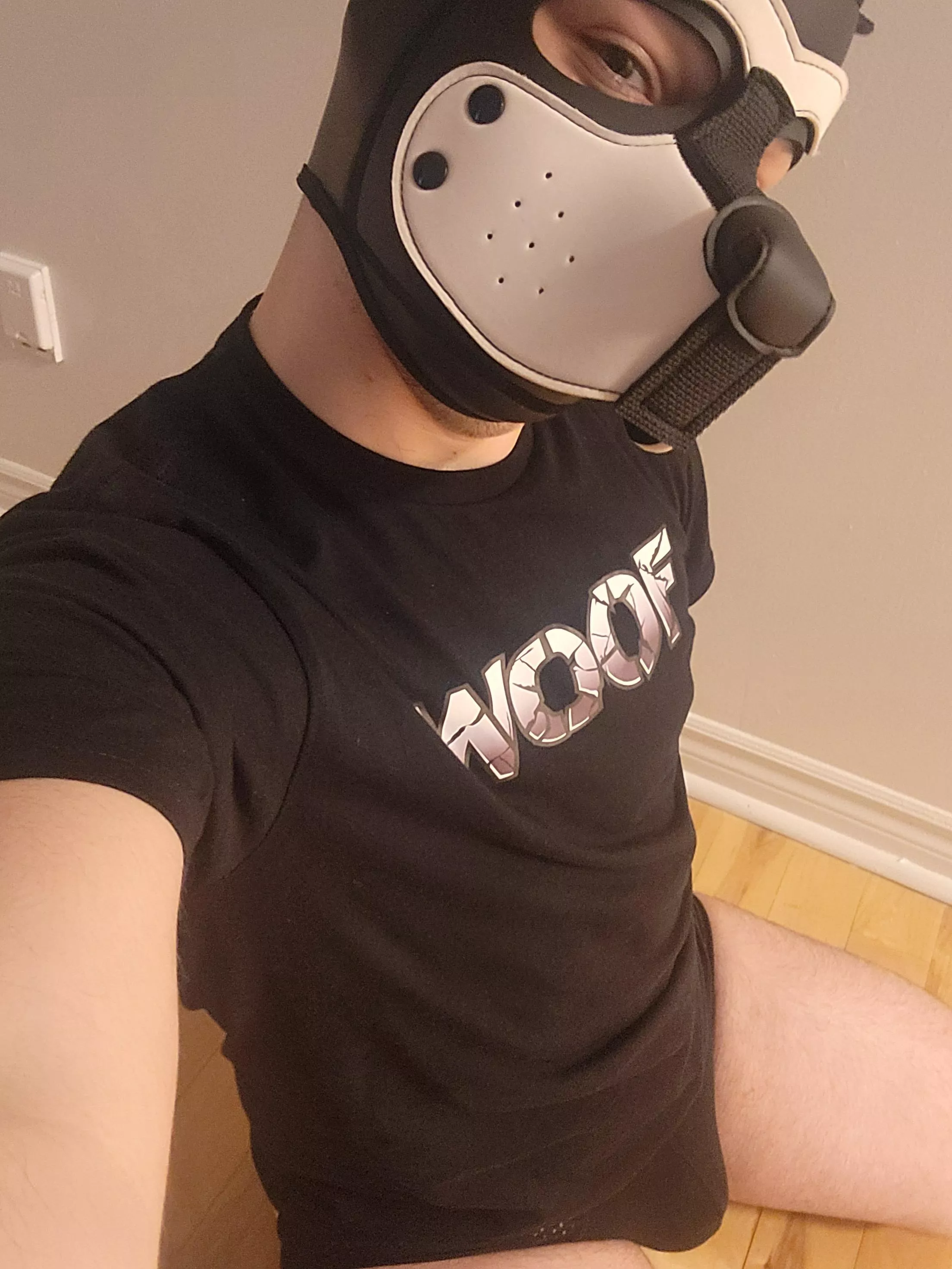 My bf got me a new shirt 🐶 Woof! posted by pup_cypher