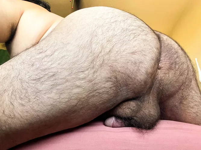 Pubes all over by HairyBottom20