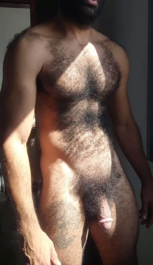 The category is big bush by Hotbombeiro