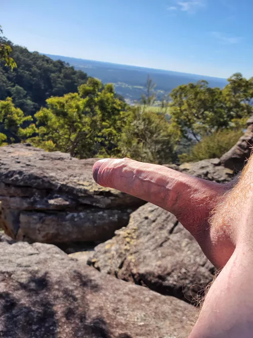 The gentle sunlight gives my ginger growth a golden glow by S_U-ThrowAway-NSFW