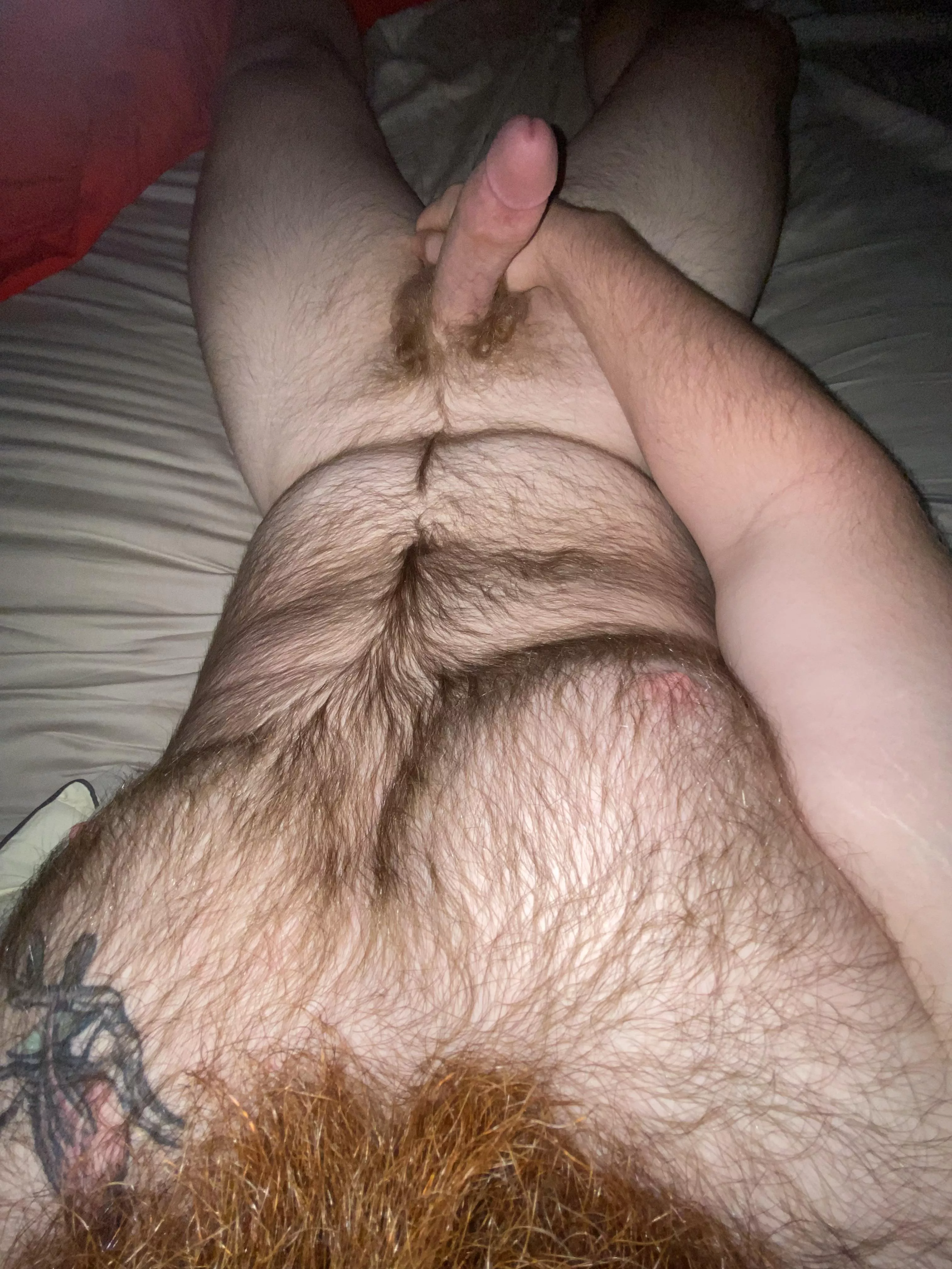 What do you want to sit on first ;) posted by Puzzleheaded_Ad_9423