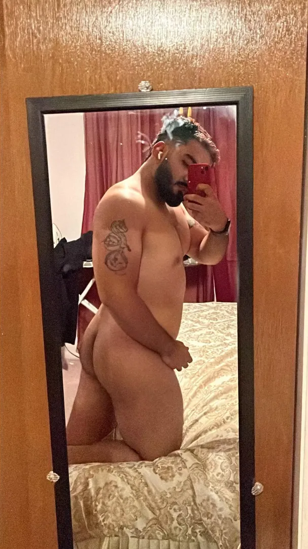 Who wants to breed me ? posted by Starboy-18