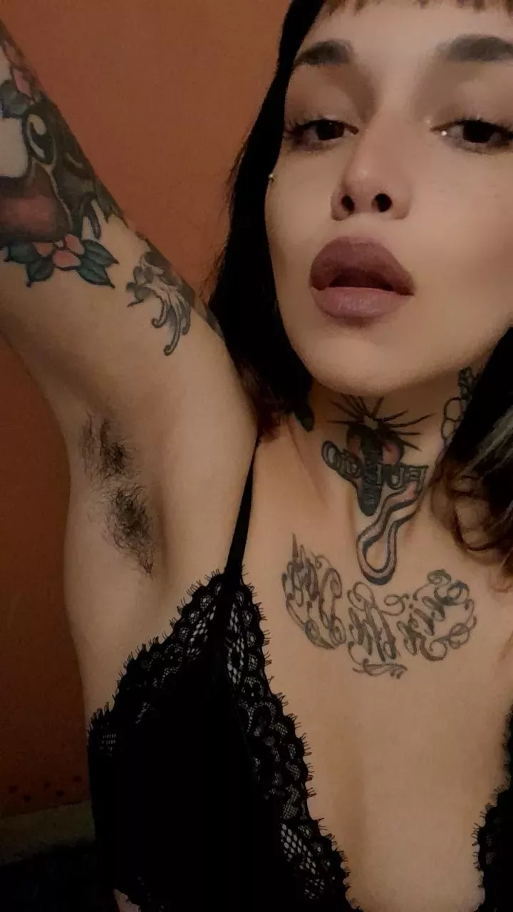 Would you like to rest in my armpits tonight? posted by babyamazona