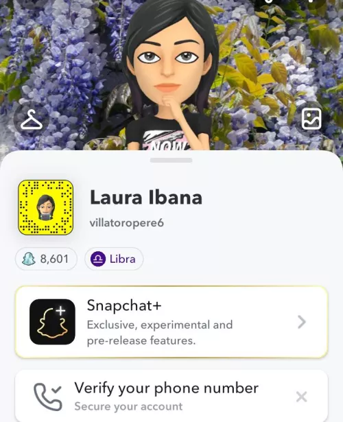 add me snapchat:villatoropere6 by Professional-Grab961