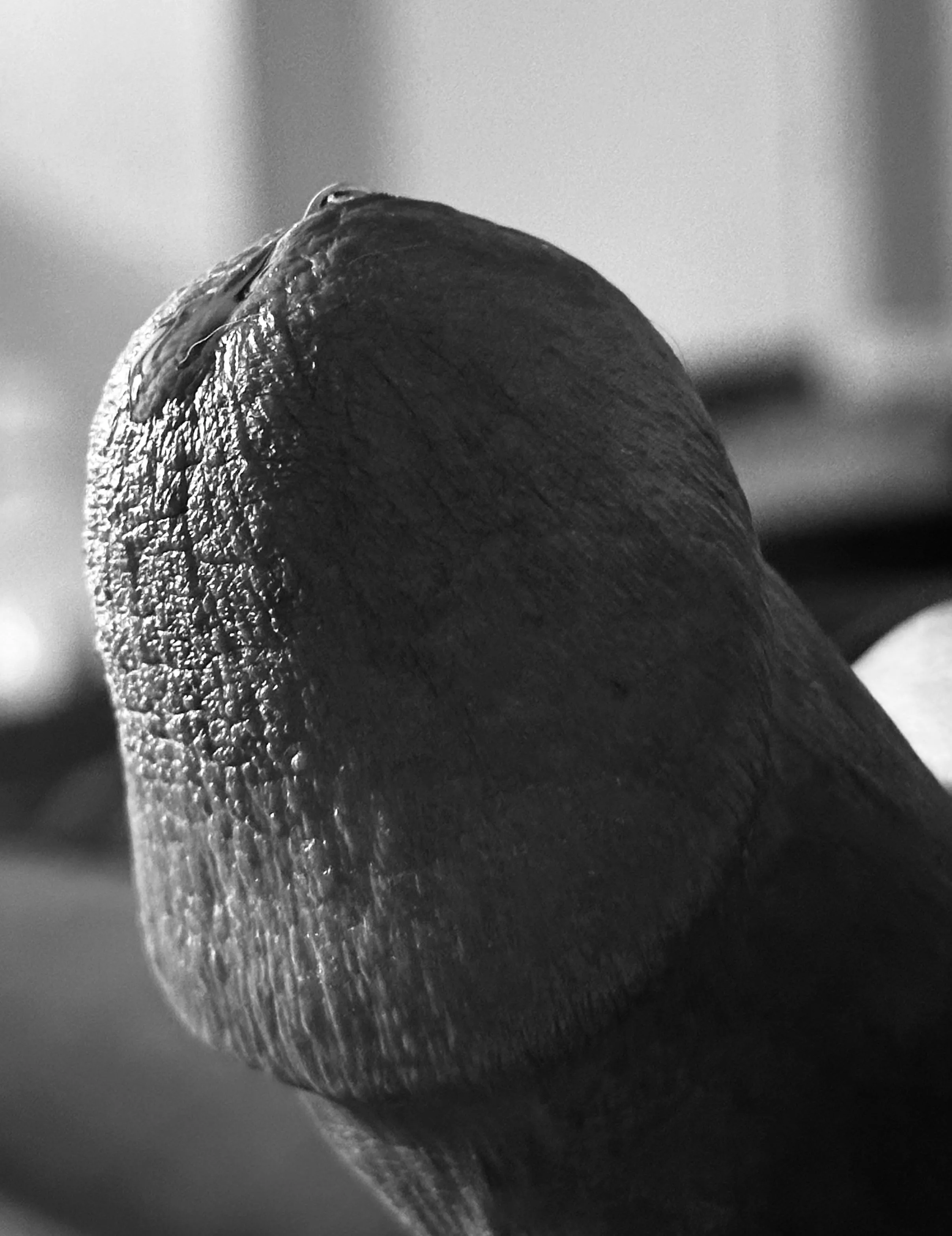 Are you getting thirsty? posted by mountandfuck