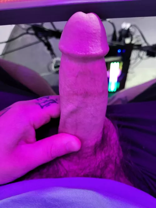 be honest by cardinalxcopia