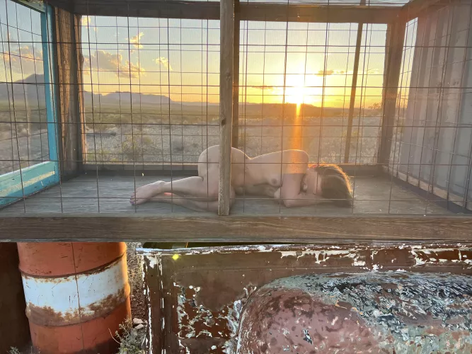 Cage sunset to sunrise 2 by Dame_n_eva