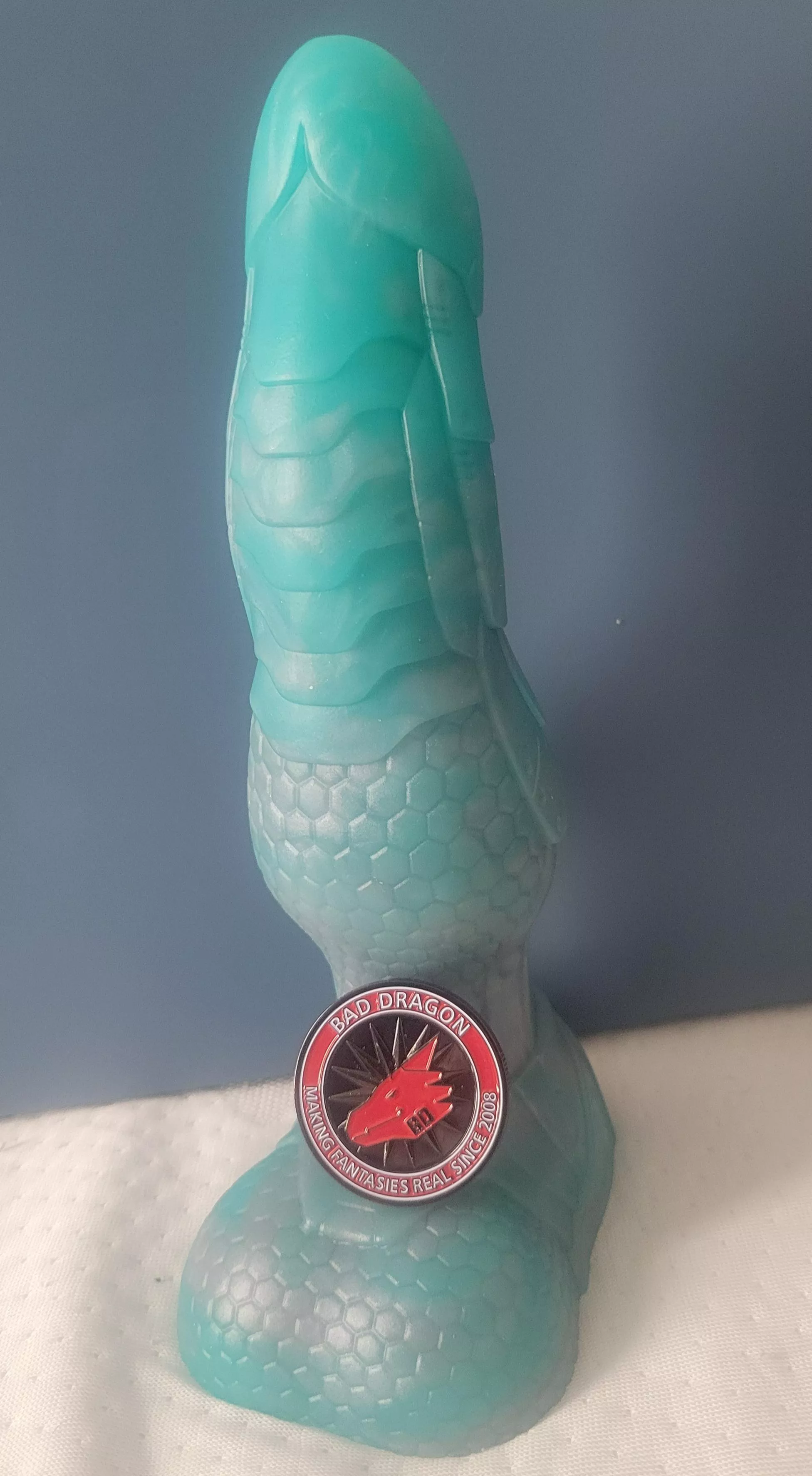 Came in today S/M Bishop posted by Hydica