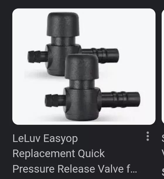 Can you buy these anywhere locally? posted by PolyLifeGirl