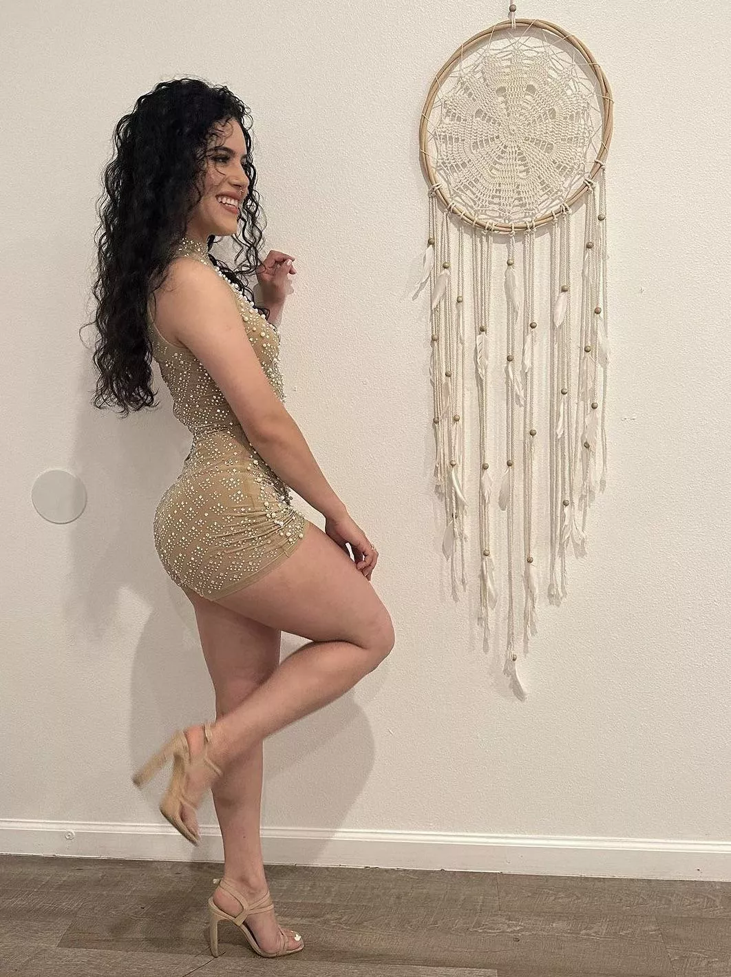 Dreamcatcher posted by RedHopSnob