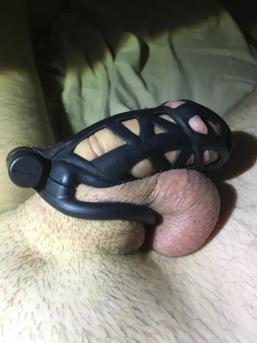 Freedom is so short by WcFun