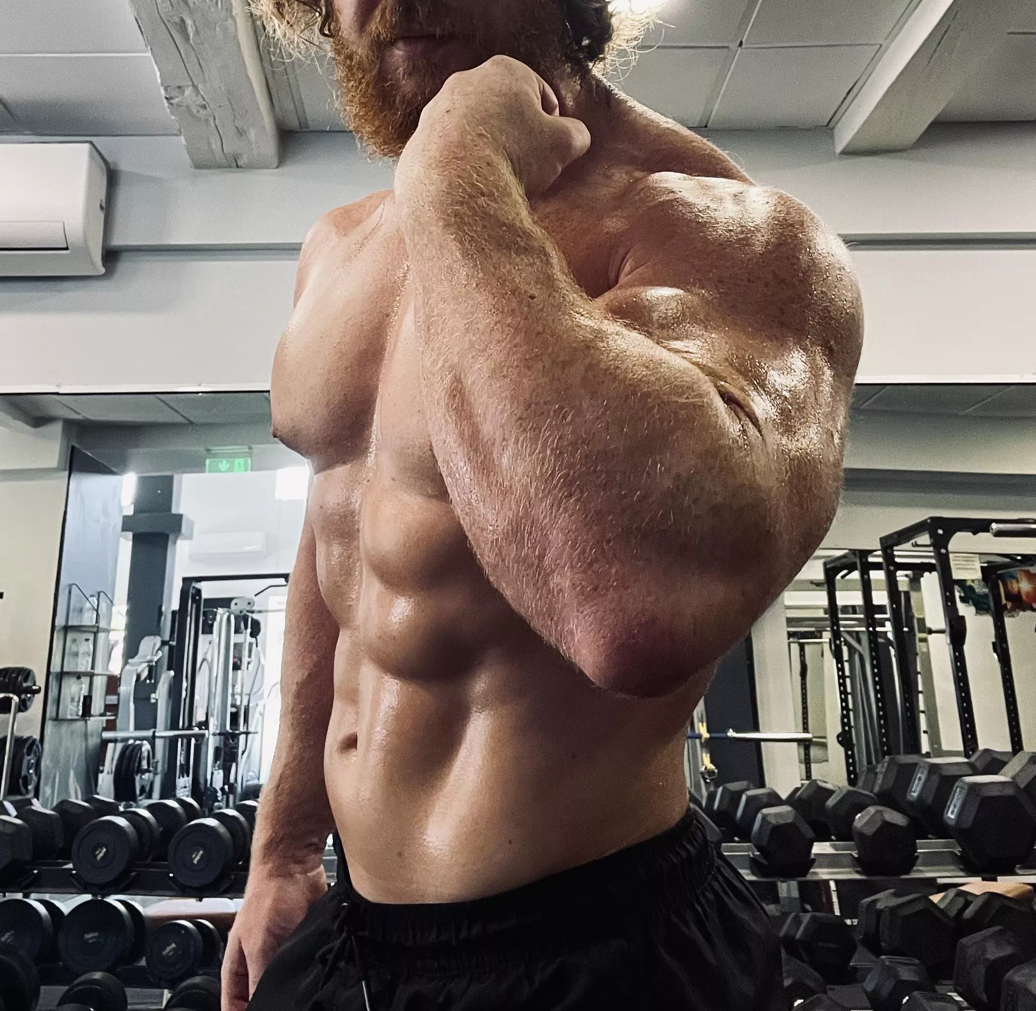 Gorilla arms posted by Bearded_alpha1