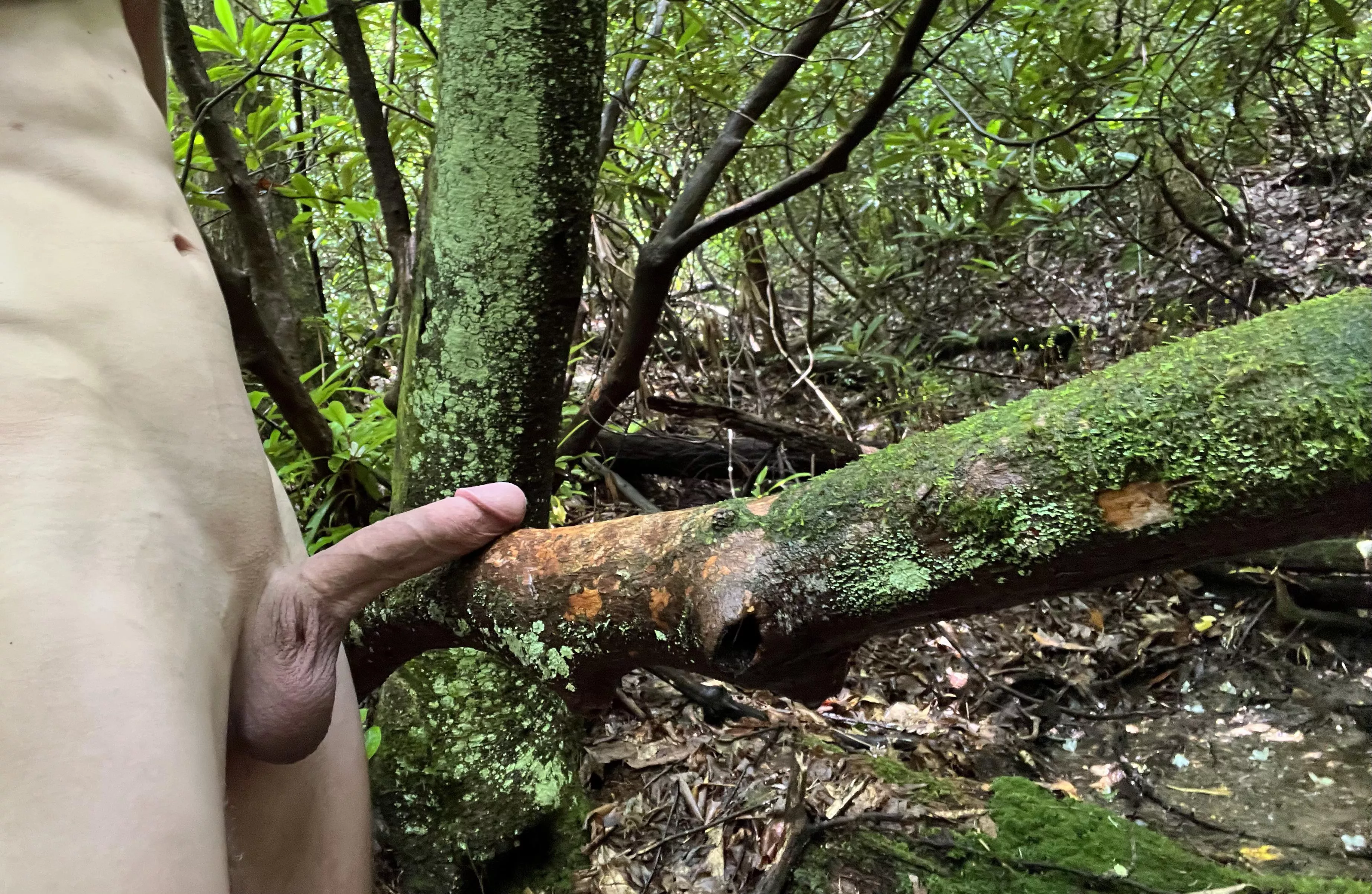 Having some fun in nature posted by naturluvr69