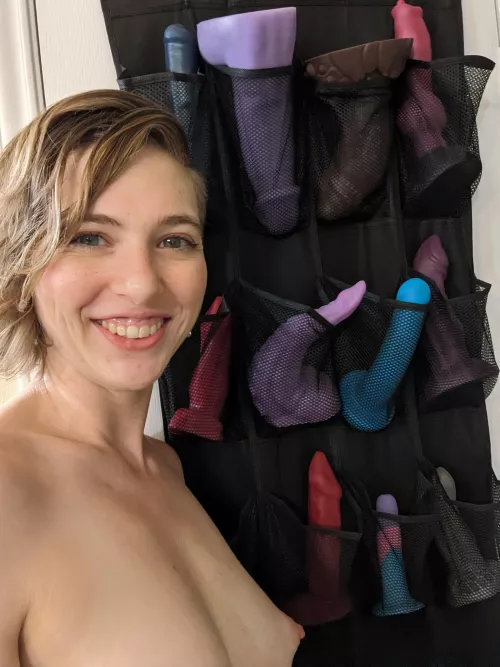 I got everyone cleaned and organized! No more box in the closet for these Bad Dragons! by missflowstar