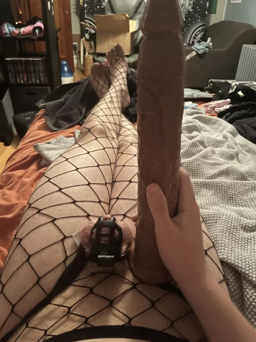 I love how tiny this huge toy makes me look ❤️ by knownasbigface