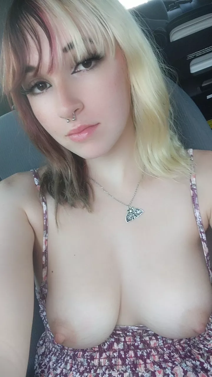 I popped em out while at a stop sign haha. Everyone got a good show posted by Loralie_a2023