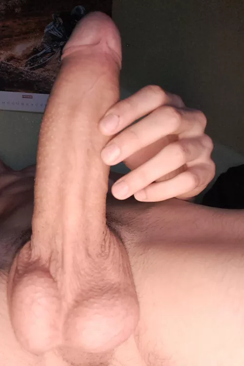 Like it ? by WarComprehensive2185