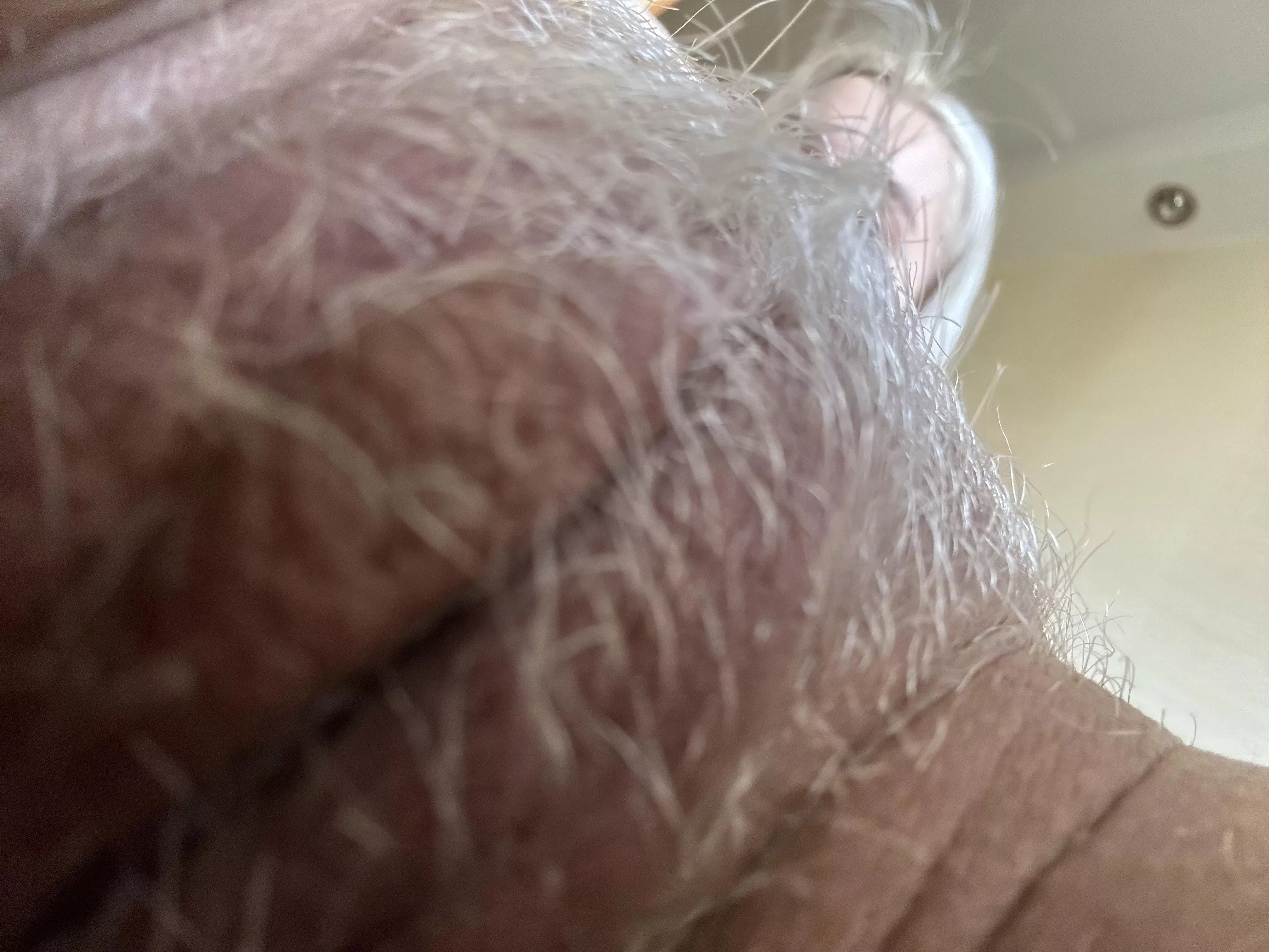 Look at this garden 🌱 posted by Nami_ninja