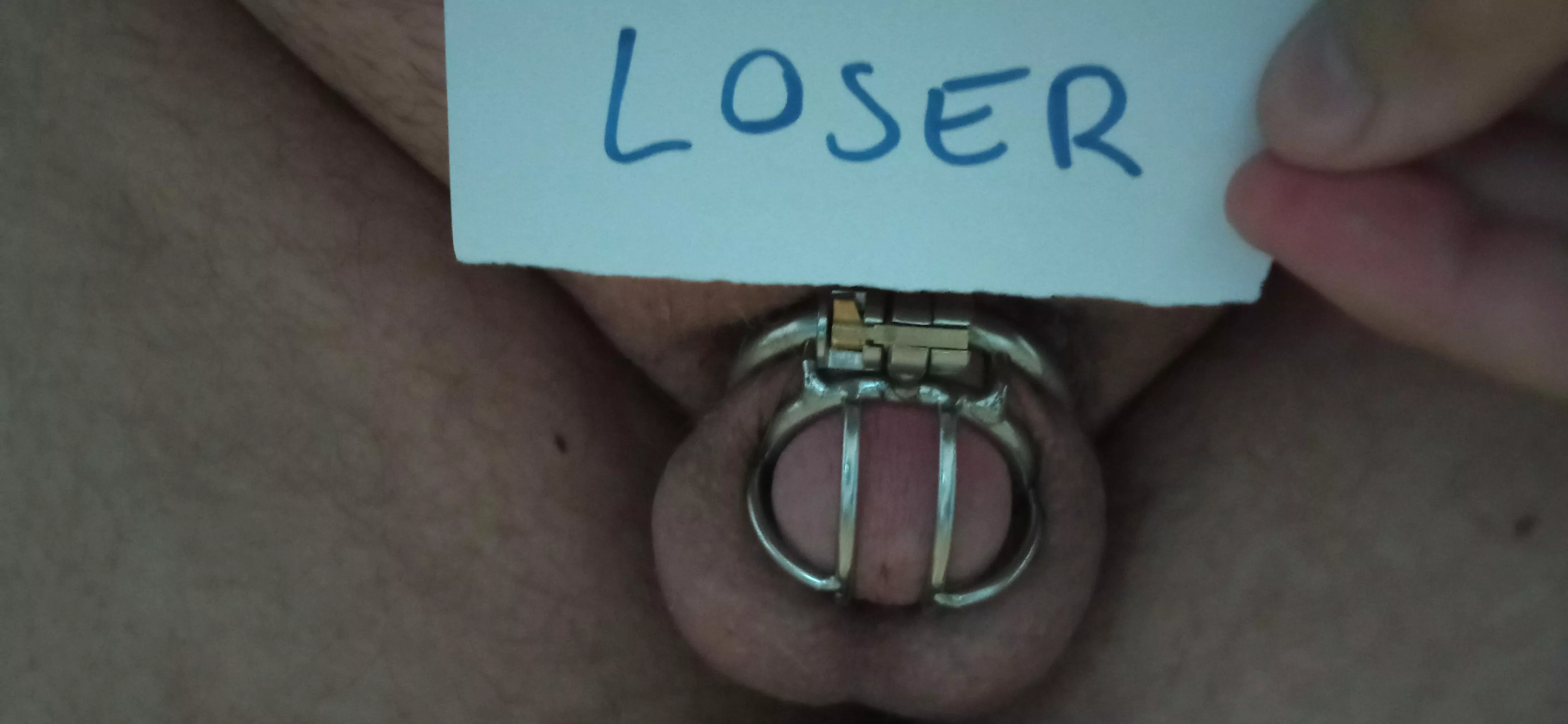 Love my steel cage posted by Dull-Temporary6245