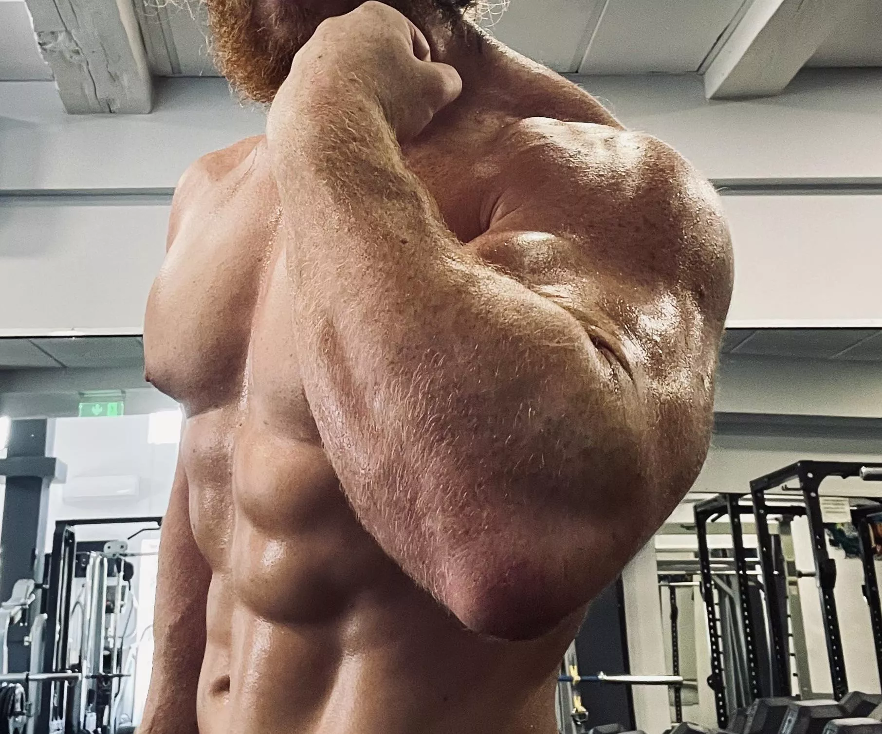 My forearms are built for gorilla strength posted by Bearded_alpha1