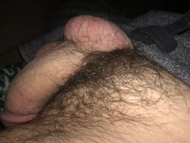 My furry softie. 🤓 by TexasLad87