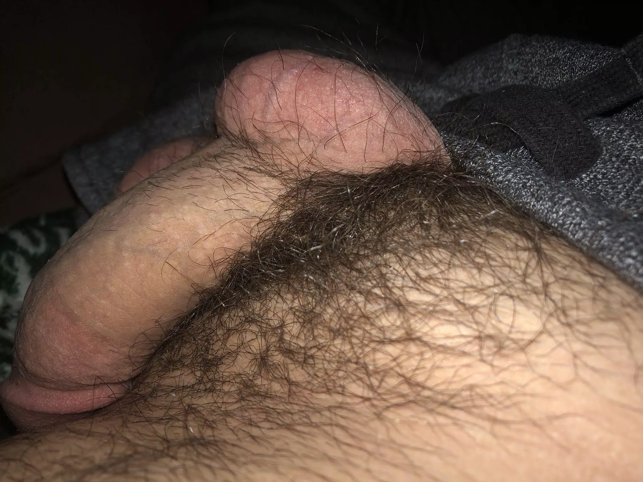 My furry softie. 🤓 posted by TexasLad87