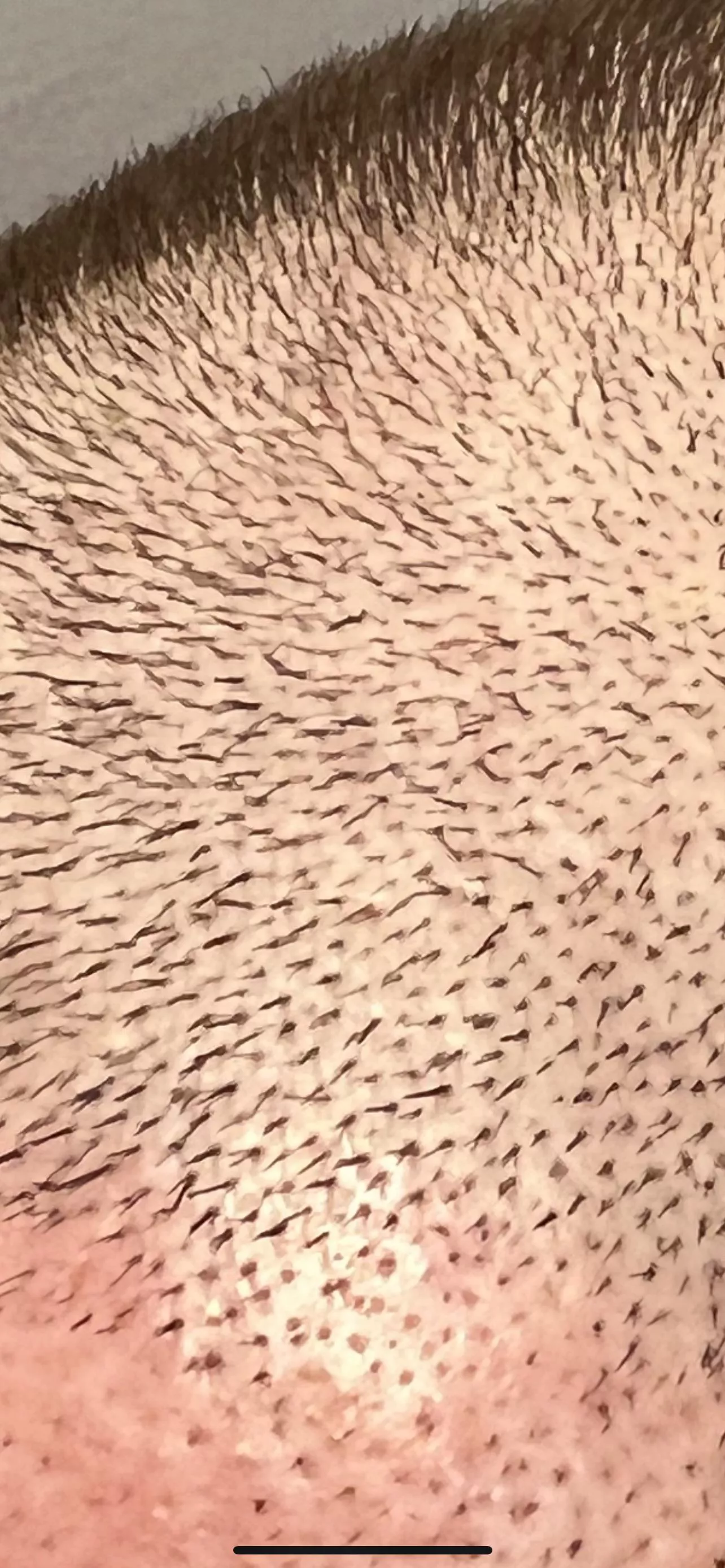 My hair is a subterranean briar patch. posted by Melodic-Award3991