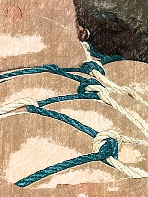 My model loves the feel.of the ropes by Loose-Ad-6420