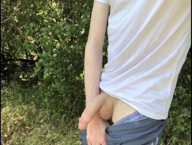 my solar powered semi by NerdyStony