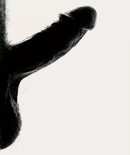 North by Playful-Barnacle2690