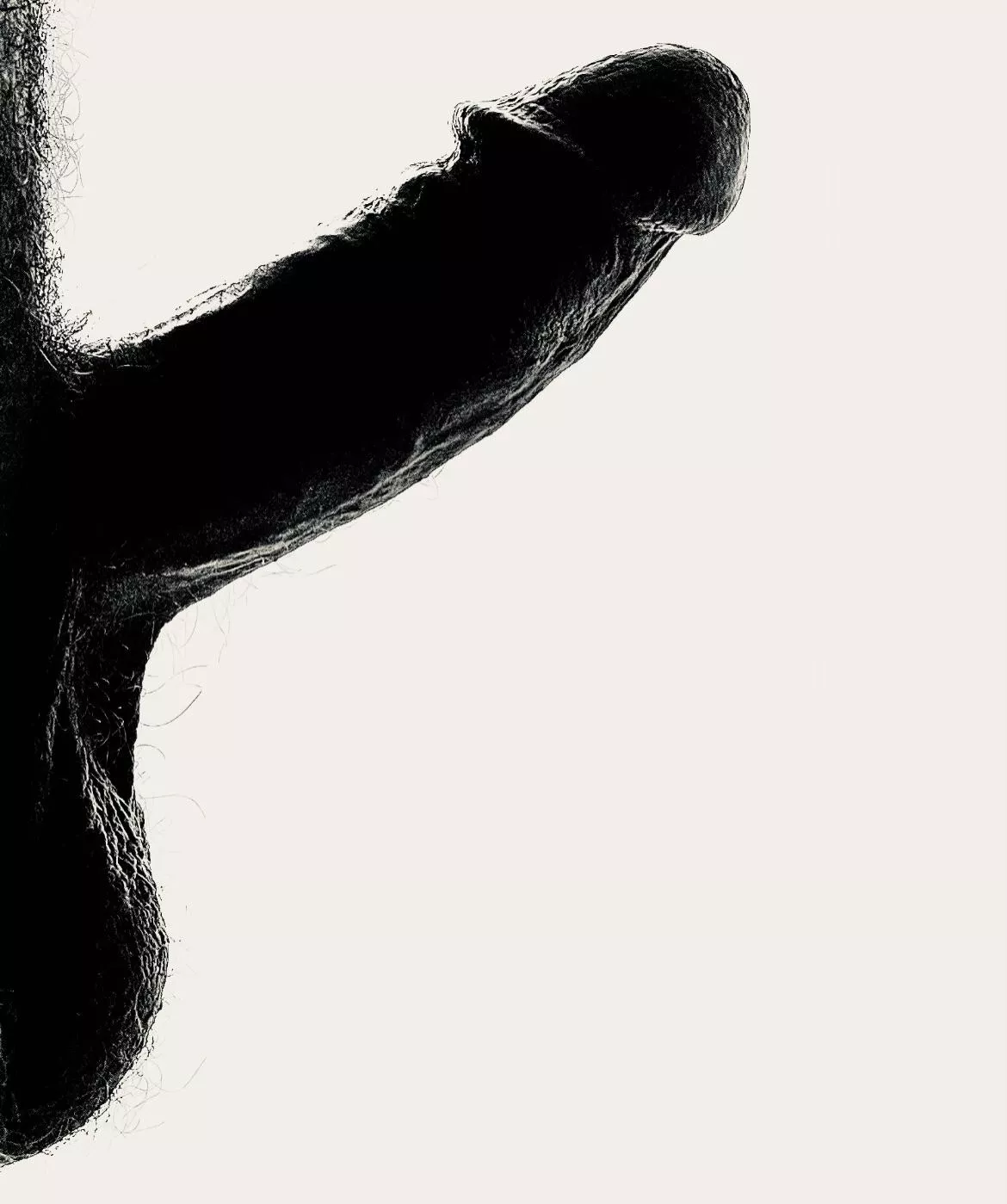 North posted by Playful-Barnacle2690