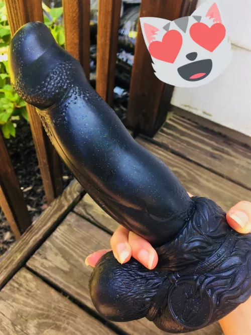 Pretty Kitty Appreciation Post<3 by LionessVitani