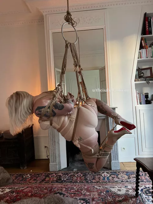 Suspended by theisabellabloom