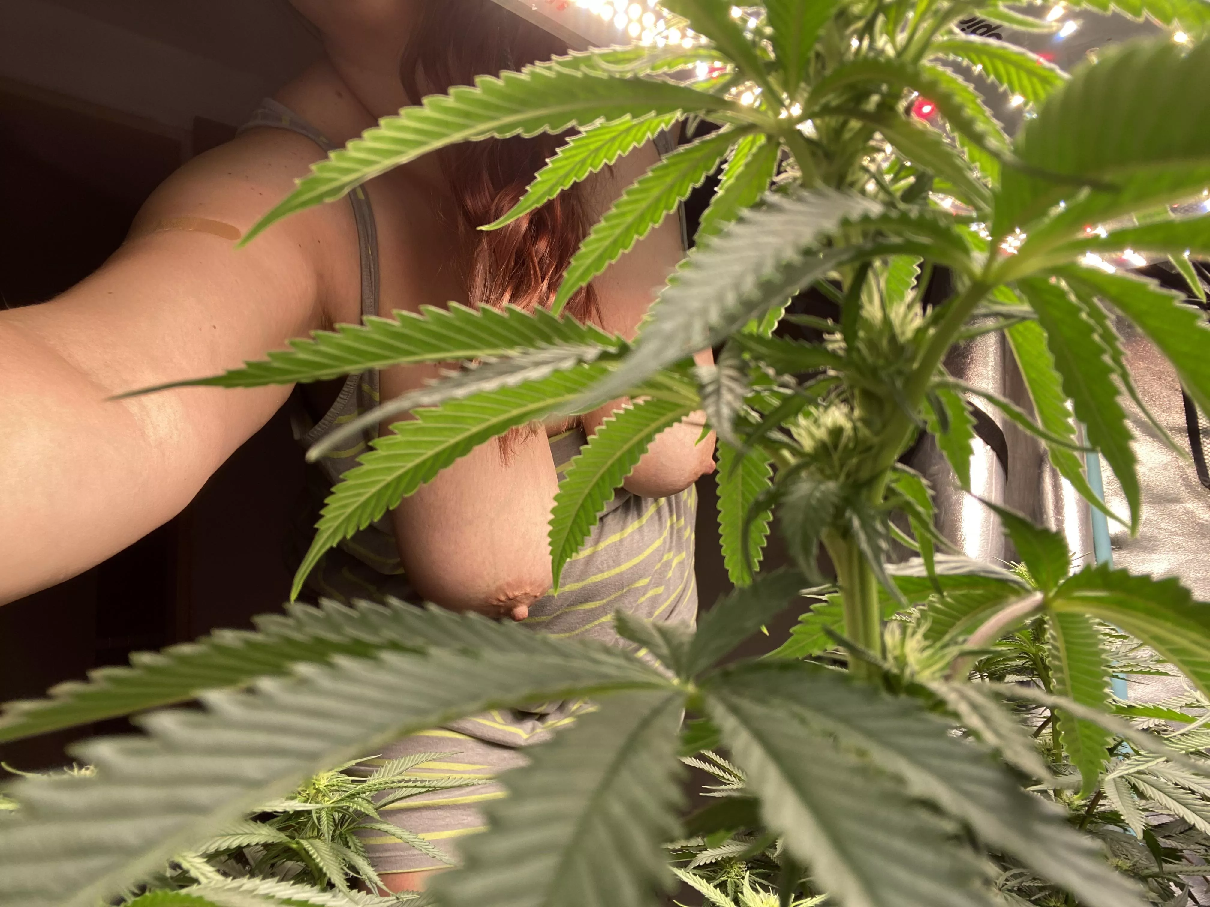 Sweet dreams (f) posted by monsterjugs