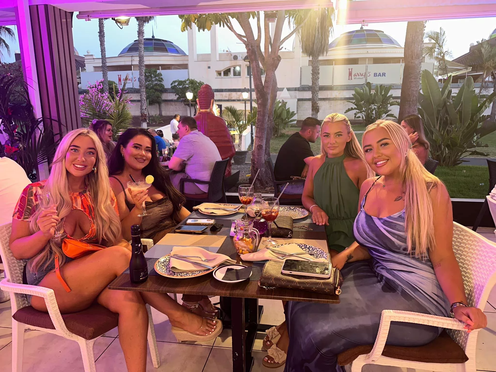 Take your pick. posted by Advanced_Giraffe