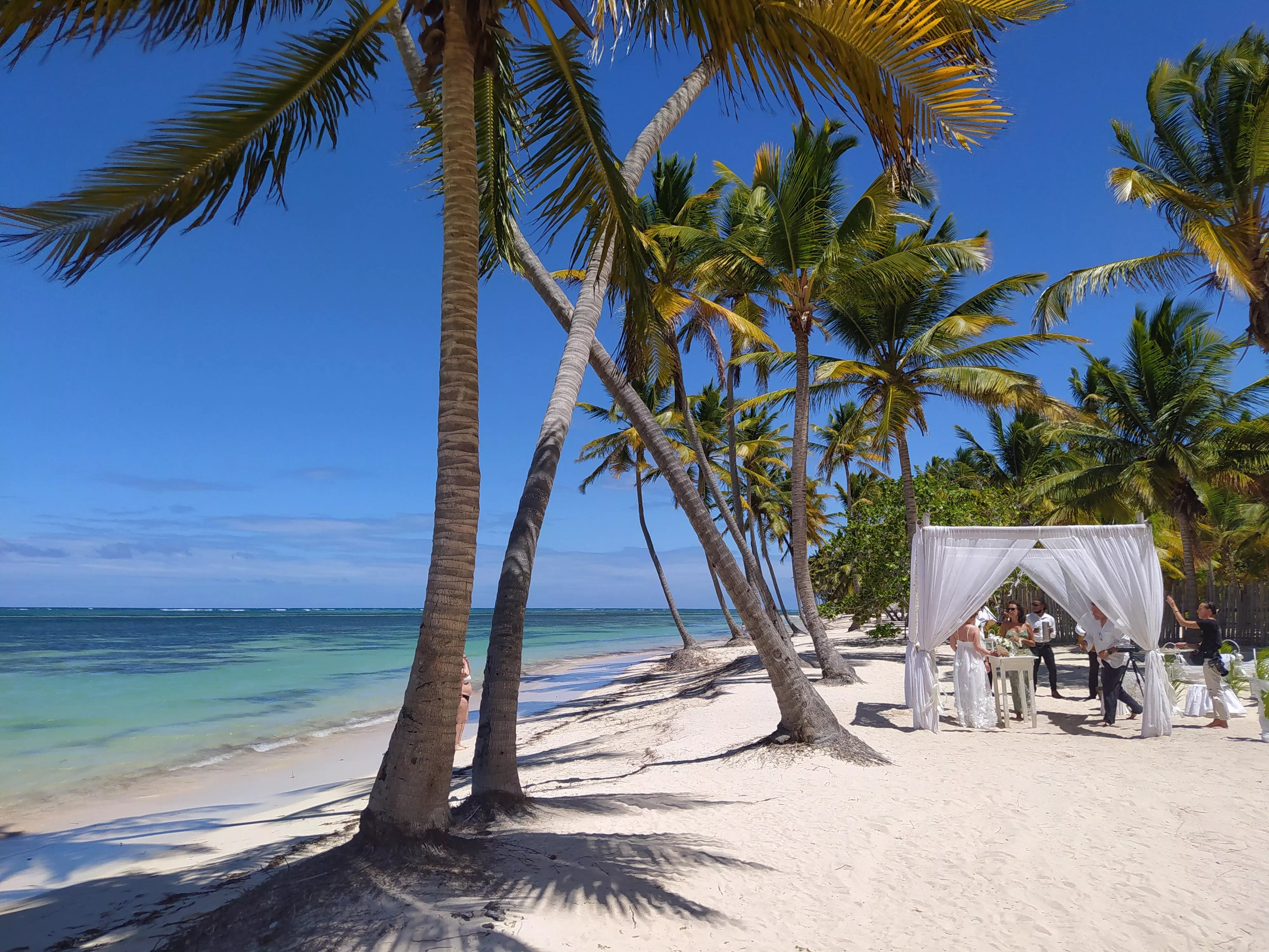 Who doesnt dream of The wedding on the beach ? 😍 posted by Interestingbeauty1