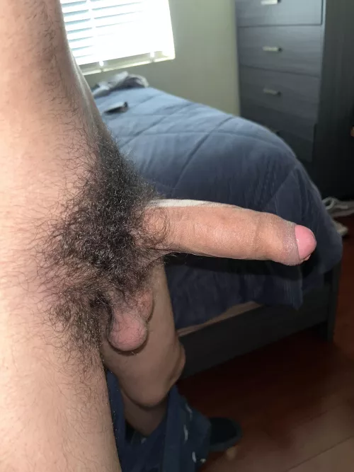 wild bush by eeriedeery