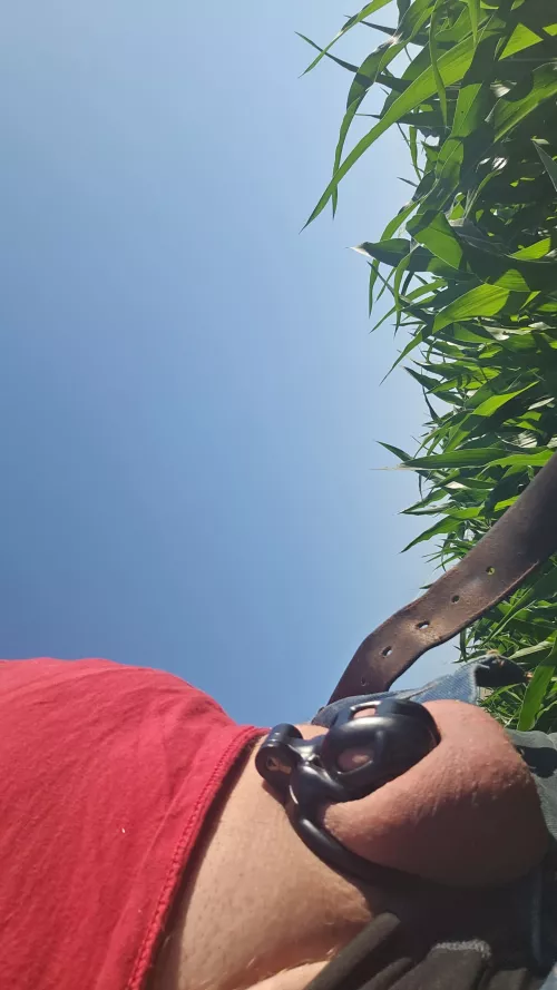 Working on pivots in the corn field by blazeaway03