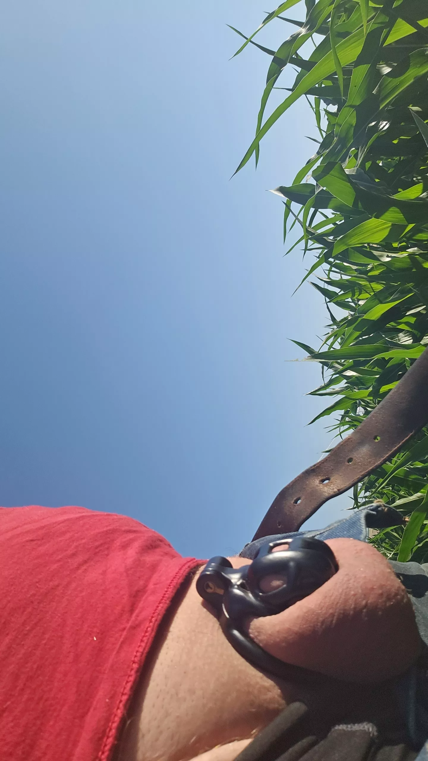 Working on pivots in the corn field posted by blazeaway03