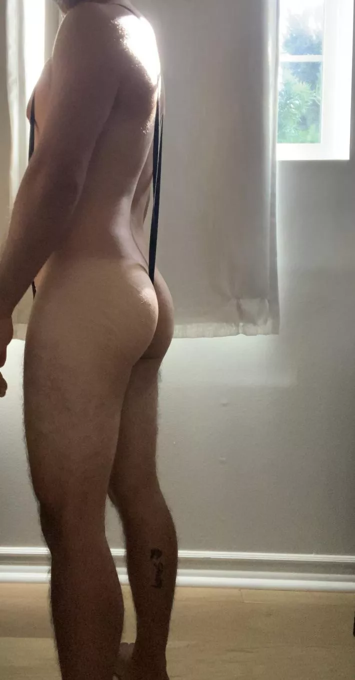 Would you wrestle with me? posted by OkPlant1266