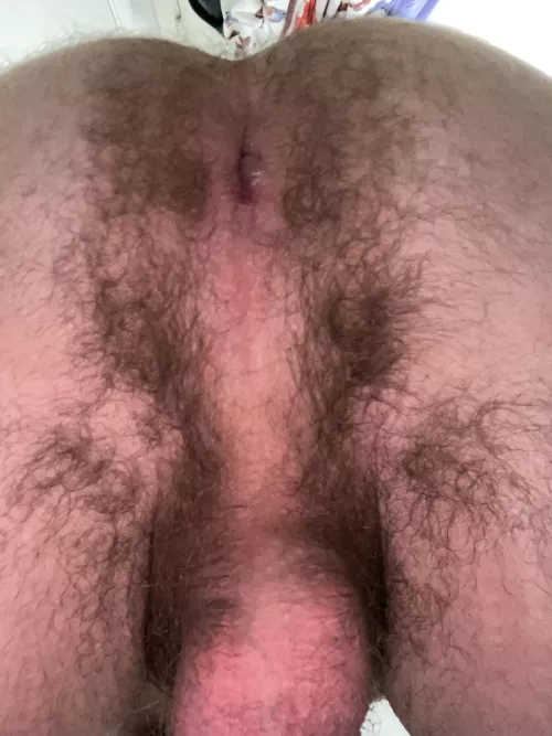 18m, is this hairy enough ;) dms open by AccomplishedPlan6609