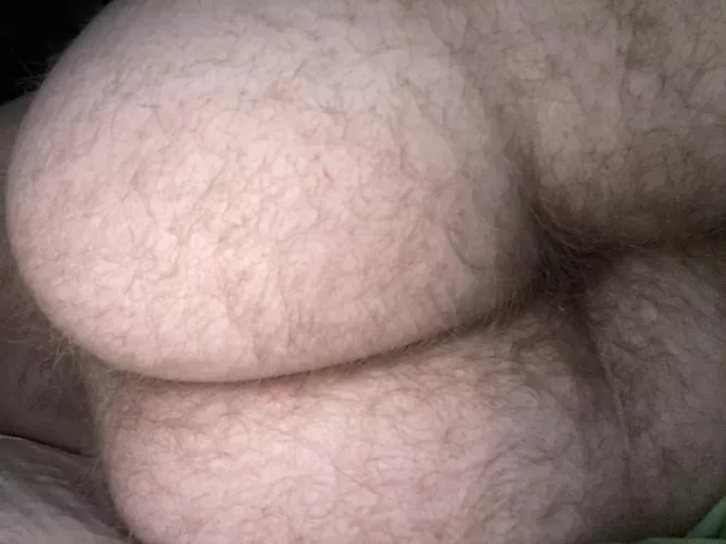 26 bored and horny dm me by Free_Long514