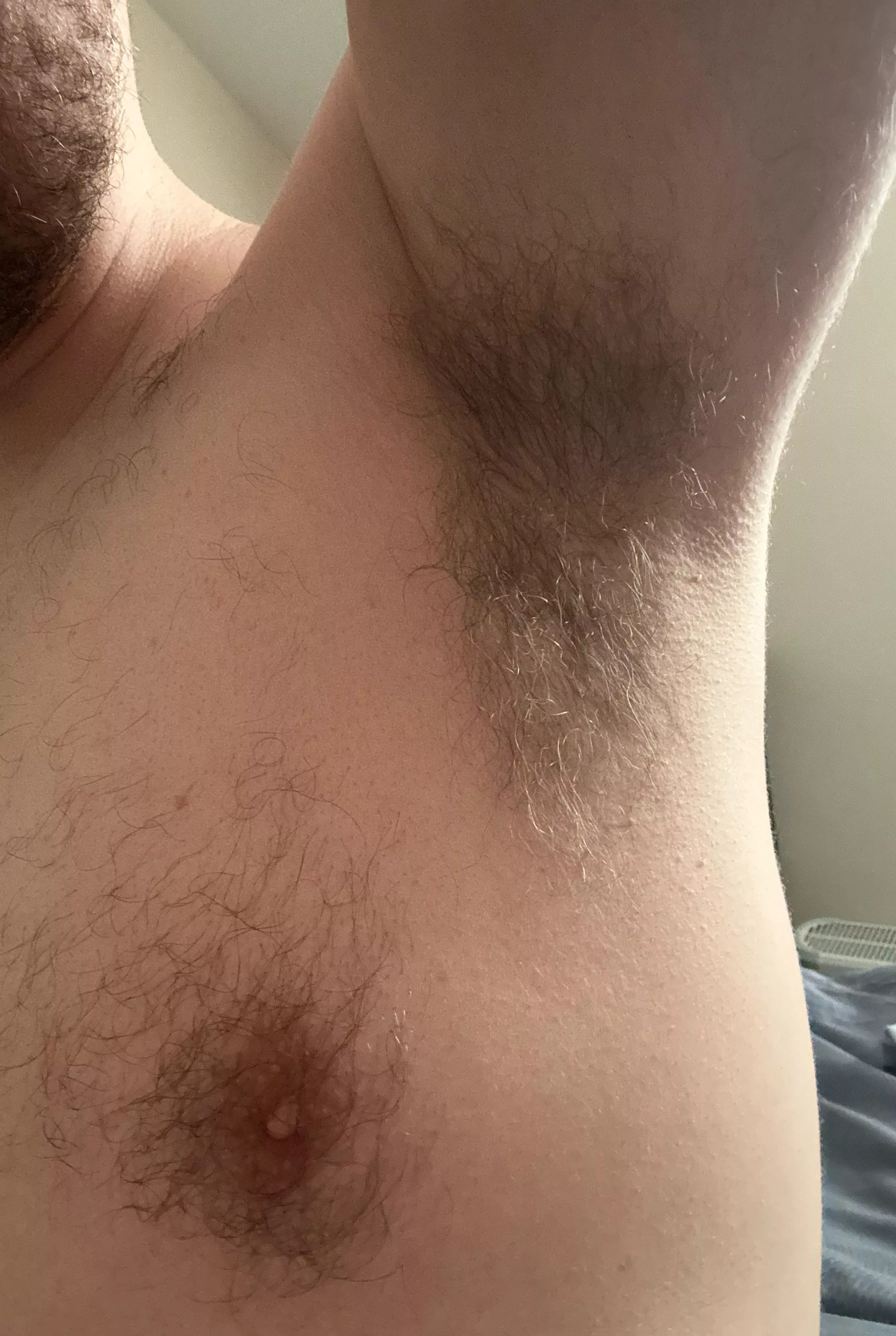 38 after a humid 6 mile walk. Anyone want a sniff? posted by hornypaul333