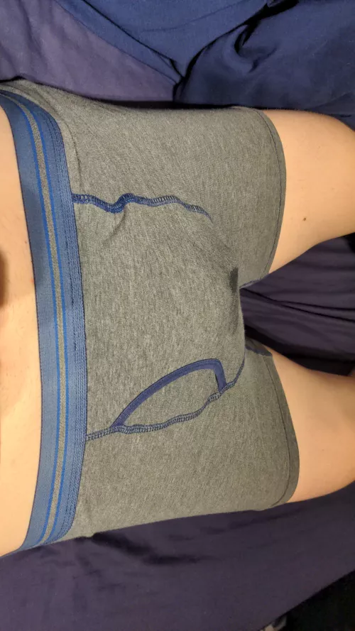 Boxers... by BiBlock1