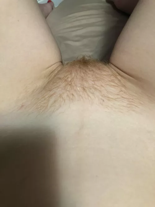 Do you like my little hairy pussy poking out between my legs? by Spirited-Aerie-3325